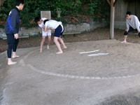 sumou1