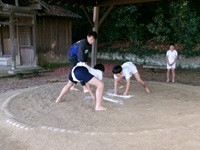 sumou2