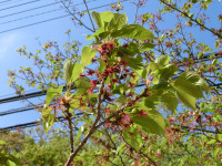 CIMG9585
