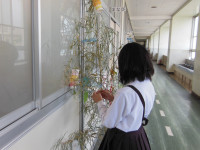 DSCN6541