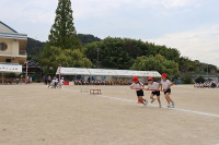 IMG_7918