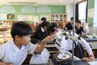 6aa2b240-c39e-45c9-88df-7905eeef744b